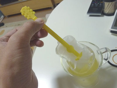 2010-06-09-ice.jpg